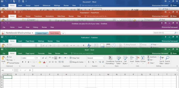 Microsoft Office 2019 Pro Plus 1 PC - Image 2