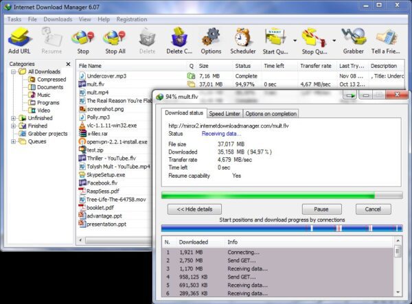 Internet Download Manager (Lifetime) - Image 2